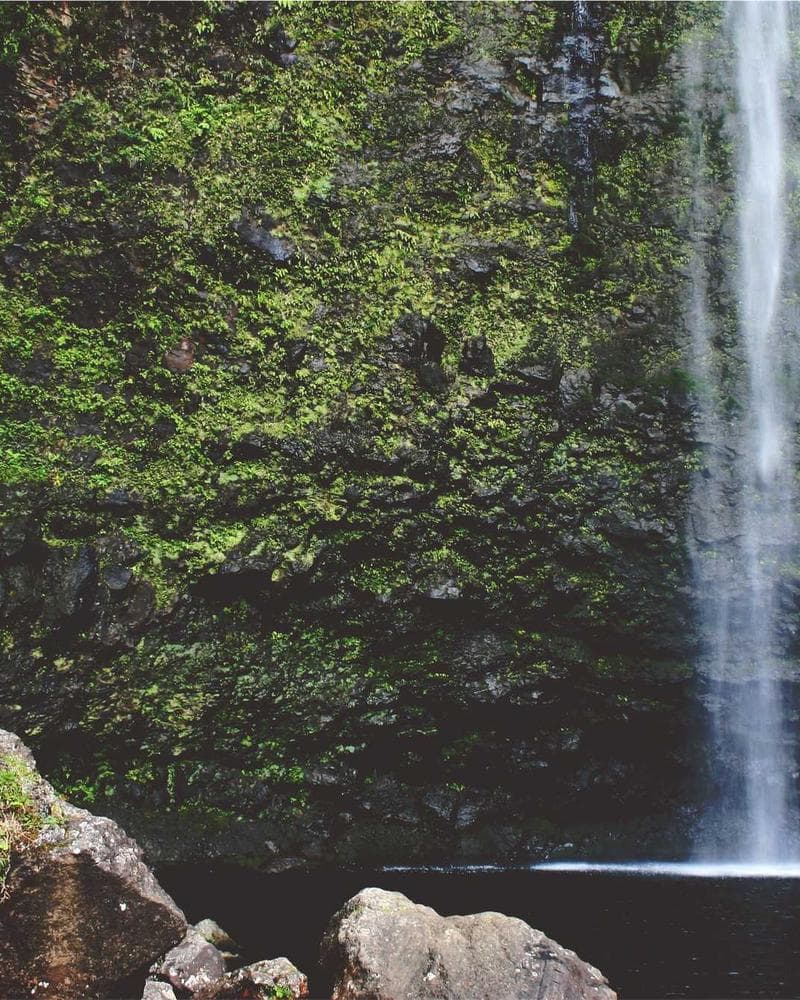 Premium Camisa de lino